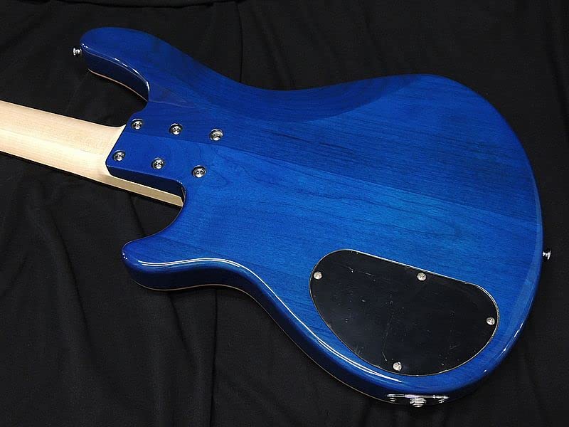 Amazon | SCHECTER JOL-CT-B-5 BKAQ フレイムメイプルトップ
